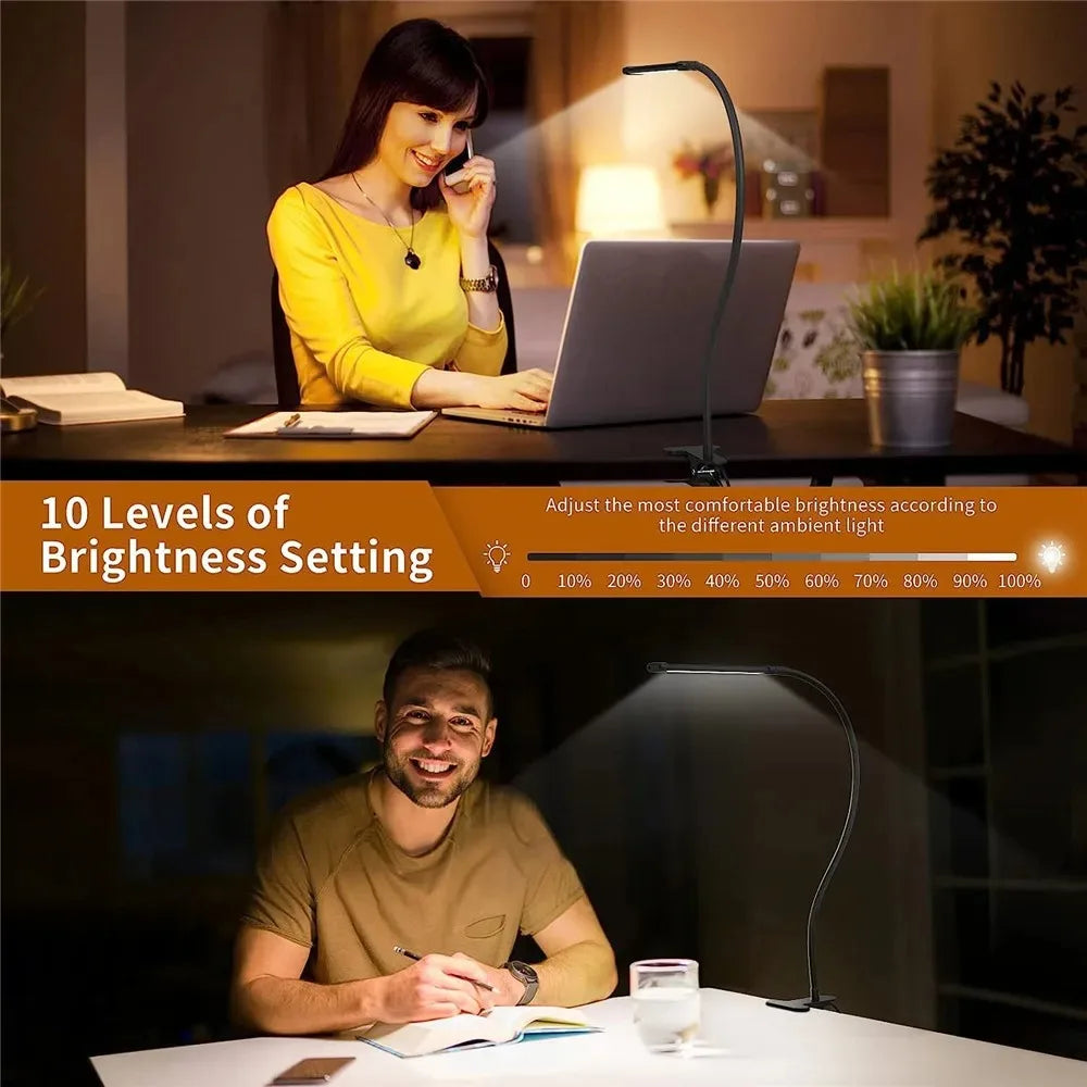 Lampe de bureau LED à pince, double tête et col de cygne flexible